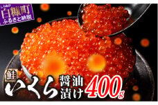醤油漬鮭いくら 400g(200g×2パック) イクラ 小分け いくら醤油漬 鮭いくら いくら醤油漬け 鮭 鮭卵 ikura 醤油いくら 冷凍いくら いくら北海道 醤油鮭いくら 人気 ふるさとチョイス 大好評品 北海道 白糠町