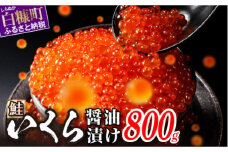 9月11日～寄付額改定　醤油漬鮭いくら 800g(200g×2パック×2箱) いくら イクラ 小分け いくら醤油漬 鮭いくら 鮭イクラ イクラ醤油漬 いくら醤油漬け イクラ醤油漬け 鮭 鮭卵 ikura いくら醤油漬 醤油いくら 醤油イクラ 冷凍いくら 冷凍イクラ いくら北海道 イクラ北海道 醤油鮭いくら 醤油鮭イクラ 人気 ふるさとチョイス 大好評品 サイズ さけ 北海道 白糠町