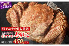 しらぬか産 茹でたて中サイズ毛がに【450g以上】