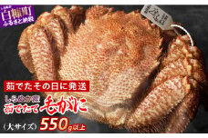 しらぬか産 茹でたて大サイズ毛がに 550g以上 毛ガニ 毛がに カニ かに 蟹 ふるさと納税 ふるさとチョイス 北海道 白糠町