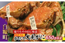 しらぬか産 茹でたて大サイズ毛がに【650g以上】
