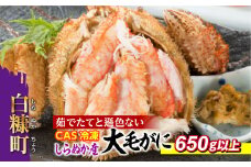 しらぬか産 CAS冷凍大サイズ毛がに【650g以上】