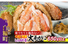 しらぬか産 CAS冷凍大サイズ毛がに【650g以上】