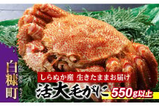 しらぬか産 活大サイズ毛がに 550g以上 毛ガニ 毛がに カニ かに 蟹 ふるさと納税 ふるさとチョイス 北海道 白糠町