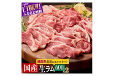 ラム肉 焼肉セットA 600g × 2パック 羊肉 ジンギスカン ラムチョップ スペアリブ 焼肉 焼肉セット ふるさと納税 ふるさとチョイス 北海道 白糠町