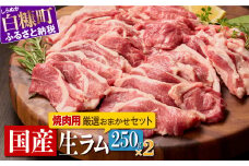 焼肉用 ラム肉 スライス 250g × 2パック オリジナルスパイス 10g 生ラム 羊肉 ジンギスカン ラムチョップ スペアリブ 焼肉セット BBQ ふるさと納税 ふるさとチョイス 北海道 白糠町