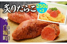 炙りたらこ【250g×3】