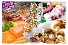 栄三郎商店海産物セット 魚介セット エンペラーサーモン ししゃも 煮つぶ 柳だこ サーモン アトランティックサーモン たこ 本ししゃも つぶ ふるさと納税 ふるさとチョイス チョイス 北海道 白糠町