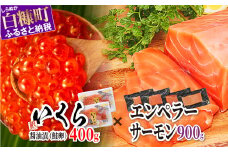 ＼大人気品／ エンペラーサーモン 900g × いくら 400g ( 200g ×2 ) の 親子丼セット サーモン 小分け 刺身 食べ方いろいろ 醤油漬け 鮭卵 鮭いくら 海鮮 送料無料 人気 ランキング 北海道 白糠町 ※2025年9月末までにお届け※