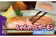ちゃちゃっとサーモン【14切入（880g）】