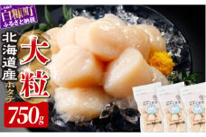 オホーツク産お刺身用ホタテ大サイズ(3S) 750g (250g×3) ホタテ ほたて 訳あり 大粒 訳ありほたて 訳ありホタテ ほたて貝柱 ホタテ貝柱 北海道産ほたて 北海道産ホタテ 海鮮 特大 大粒ほたて 大粒ホタテ 北海道 おすすめ 人気 ランキング 帆立 天然 ふるさと納税 冷凍ほたて 冷凍ホタテ ふるさとチョイス 北海道産 国産 冷凍帆立 天然帆立 白糠町