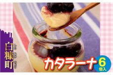 カタラーナ【6個入り】