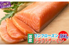 国産 ワンフローズン 800g トラウトサーモン 鮭 サーモン さけ シャケ しゃけ sake カルパッチョ サーモン丼 ムニエル 生食用 刺身 お刺身 刺し身 産地 人気 高級 大満足 美味しい 贈答 魚介類 海鮮 冷凍 厚切り 薄切り 鮮度 HACCP ふるさと納税 ふるさとチョイス チョイス 北海道 白糠町