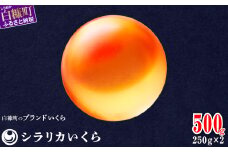 シラリカいくら（生いくら） 500g(250g×2) お好みに味付けができます いくら イクラ 生いくら 生イクラ 小分け いくら醤油漬 鮭いくら 鮭イクラ 鮭 鮭卵 イクラ醤油漬 いくら醤油漬け ikura 醤油いくら 醤油イクラ 冷凍いくら いくら無添加 いくら鮭 ふるさと納税 ふるさとチョイス チョイス 北海道 白糠町