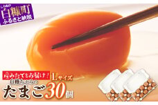 たかはしさんの新鮮卵【Lサイズ30個（10個×3パック）】