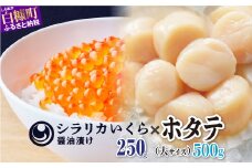 シラリカいくら【醤油漬け】250g × ホタテ 500g 250g×2 海鮮丼セット いくら イクラ ikura 小分け  鮭 鮭卵 冷凍いくら 冷凍イクラ いくら醤油漬 醤油いくら 醤油イクラ ホタテ ほたて 緊急支援品 大粒 ほたて貝柱 ホタテ貝柱 冷凍ほたて 冷凍ホタテ 大粒帆立 帆立貝柱 人気 ふるさと納税 ふるさとチョイス 北海道 白糠町