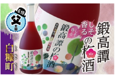 【父の日】【父の日対象お礼品　6/18お届け】鍛高譚の梅酒[720ml]【4本セット】