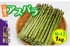 【数量限定】白糠町産アスパラガス【M～L混合1kg】