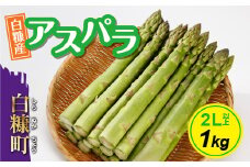 【数量限定】白糠町産アスパラガス【2L以上 1kg】