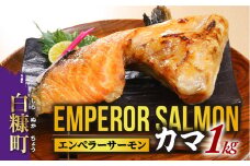 エンペラーサーモンのカマ【1kg】サーモン 鮭 エンペラー を超えた キングサーモン アトランティックサーモン さけ サケ 魚 ふるさと 海鮮 海鮮食品 魚介類 魚介 送料無料 北海道 白糠町