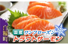 【お中元】【2023年7月31日お届け】国産ワンフローズントラウトサーモン【850g】