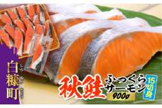 【お中元】【2023年8月15日お届け】秋鮭ふっくらサーモン【15切れ入り（900g）】
