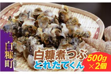 【お中元】【2023年7月31日お届け】白糠煮つぶ とれたてくん【500g×2個】