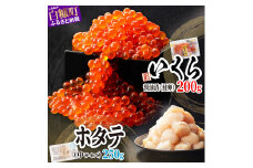 【敬老の日9/18お届け】「【訳あり】いくら醤油漬（鮭卵）【200g】」×「ホタテ【250g】」の海鮮丼セット