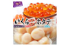 【敬老の日9/18お届け】大人気★「シラリカいくら【醬油漬け】【500g（250g×2）】」×「ホタテ【500g（250g×2）】」の海鮮丼セット