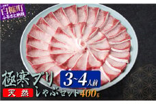 天然極寒ブリ ブリしゃぶセット 400g(3～4人前) ぶり ぶりしゃぶ ブリしゃぶ ぶり刺身 ブリ刺身 刺身 極寒ぶり 寒ブリ 寒ぶり しゃぶしゃぶ 国産ぶり 国産 天然ぶり 天然ブリ 冷凍 冷凍ぶり 冷凍ブリ 鍋 なべ 新鮮 海鮮 鮮度 北海道 北海道ぶり 北海道産 人気 ふるさと納税 ふるさとチョイス 北海道 白糠町