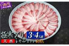 天然極寒ブリ ブリしゃぶセット 400g(3～4人前) ぶり ぶりしゃぶ ブリしゃぶ ぶり刺身 ブリ刺身 刺身 極寒ぶり 寒ブリ 寒ぶり しゃぶしゃぶ 国産ぶり 国産 天然ぶり 天然ブリ 冷凍 冷凍ぶり 冷凍ブリ 鍋 なべ 新鮮 海鮮 鮮度 北海道 北海道ぶり 北海道産 人気 ふるさと納税 ふるさとチョイス 北海道 白糠町