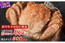 しらぬか産 茹でたて特大サイズ毛がに【800g以上】