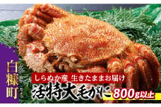 しらぬか産 活特大サイズ毛がに【800g以上】