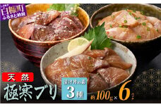 天然極寒ブリ 厳選3種漬け丼の素セット 600g ぶり ぶり刺身 ブリ刺身 刺身 寒ブリ 寒ぶり 国産ぶり 国産 天然ぶり 天然ブリ 漬け丼 りゅうきゅう 新鮮 海鮮 鮮度 冷凍 たんたか しそ 冷凍ぶり 冷凍ブリ 北海道 北海道ぶり 北海道産 人気 ふるさと納税 ふるさとチョイス 北海道 白糠町