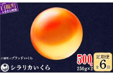 年6回お届け定期便 シラリカいくら（生いくら） 500g(250g×2) お好みに味付けができます いくら イクラ 生いくら 生イクラ 鮭いくら 小分け いくら醤油漬 鮭イクラ イクラ醤油漬 鮭 鮭卵 いくら醤油漬け ikura 醤油いくら 醤油イクラ 冷凍いくら いくら無添加 いくら鮭 ふるさと納税 ふるさとチョイス チョイス 北海道 白糠町