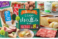 しらぬか山の恵みセット'23-'24【年3回定期便】