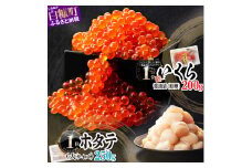「【訳あり】いくら醤油漬 (鮭卵) 200g」×「ホタテ 250g 」海鮮丼セット 