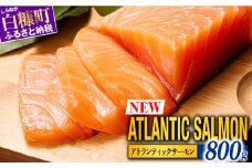 【TOWA SALMON】アトランティック サーモン 【800g】鮭 サーモン さけ シャケ しゃけ sake カルパッチョ ソテー レアステーキ 人気 高級 大満足 美味しい 贈答 生食用 刺身 お刺身 刺し身 魚介類 海鮮 冷凍 厚切り 薄切り ふるさと納税 ふるさとチョイス チョイス 北海道 白糠町 ※2025年9月末までにお届け※