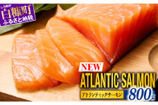 【TOWA SALMON】アトランティック サーモン 【800g】鮭 サーモン さけ シャケ しゃけ sake カルパッチョ ソテー レアステーキ 人気 高級 大満足 美味しい 贈答 生食用 刺身 お刺身 刺し身 魚介類 海鮮 冷凍 厚切り 薄切り ふるさと納税 ふるさとチョイス チョイス 北海道 白糠町 ※2025年10月末までにお届け※