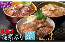 天然極寒ブリ 厳選3種漬け丼の素セット 300g ぶり ぶり刺身 ブリ刺身 刺身 寒ブリ 寒ぶり 国産ぶり 国産 天然ぶり 天然ブリ 漬け丼 りゅうきゅう 新鮮 海鮮 鮮度 冷凍 たんたか しそ 冷凍ぶり 冷凍ブリ 北海道 北海道ぶり 北海道産 人気 ふるさと納税 ふるさとチョイス 北海道 白糠町