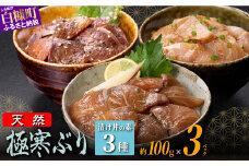 天然極寒ブリ 厳選3種漬け丼の素セット 300g ぶり ぶり刺身 ブリ刺身 刺身 寒ブリ 寒ぶり 国産ぶり 国産 天然ぶり 天然ブリ 漬け丼 りゅうきゅう 新鮮 海鮮 鮮度 冷凍 たんたか しそ 冷凍ぶり 冷凍ブリ 北海道 北海道ぶり 北海道産 人気 ふるさと納税 ふるさとチョイス 北海道 白糠町