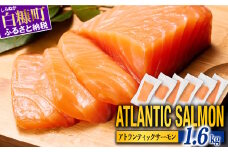 【TOWA SALMON】アトランティック サーモン  1.6kg 鮭 サーモン さけ シャケ しゃけ sake カルパッチョ ソテー レアステーキ 人気 高級 大満足 美味しい 贈答 生食用 刺身 お刺身 刺し身 魚介類 海鮮 冷凍 厚切り 薄切り ふるさと納税 ふるさとチョイス チョイス 北海道 白糠町