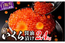 醤油漬鮭いくら 2.4kg(200g×2パック×6箱) いくら イクラ 小分け いくら醤油漬 鮭いくら 鮭イクラ イクラ醤油漬 いくら醤油漬け イクラ醤油漬け 鮭 鮭卵 ikura いくら醤油漬 醤油いくら 醤油イクラ 冷凍いくら 冷凍イクラ いくら北海道 イクラ北海道 醤油鮭いくら 醤油鮭イクラ 人気 ふるさとチョイス 大好評品 サイズ さけ 北海道 白糠町