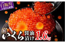 醤油漬鮭いくら 1.6kg(200g×2パック×4箱) いくら イクラ 小分け いくら醤油漬 鮭いくら 鮭イクラ イクラ醤油漬 いくら醤油漬け イクラ醤油漬け 鮭 鮭卵 ikura いくら醤油漬 醤油いくら 醤油イクラ 冷凍いくら 冷凍イクラ いくら北海道 イクラ北海道 醤油鮭いくら 醤油鮭イクラ 人気 ふるさとチョイス 大好評品 サイズ さけ 北海道 白糠町