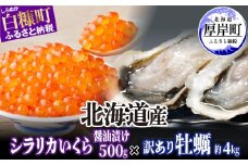 北海道産 シラリカいくら 【醤油漬け】 500g (250g×2) × 北海道産 牡蠣 約4kg 訳あり 厚岸産 海鮮 セット ふるさと納税 いくら イクラ 牡蠣 生牡蠣 カキ 殻付き 海鮮 生食用 海鮮 海鮮丼 魚介 貝 ふるさと 贈答用 人気 ランキング 北海道 白糠町 厚岸町
