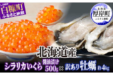 北海道産 シラリカいくら 【醤油漬け】 500g (250g×2) × 北海道産 牡蠣 約4kg 訳あり 厚岸産 海鮮 セット ふるさと納税 いくら イクラ 牡蠣 生牡蠣 カキ 殻付き 海鮮 生食用 海鮮 海鮮丼 魚介 貝 ふるさと 贈答用 人気 ランキング 北海道 白糠町 厚岸町