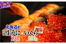 「生うに 100g」× 「いくら醤油漬(鮭卵) 200g(200g×1) 」のセット　いくら北海道 醤油鮭いくら うに 人気 ふるさとチョイス 大好評品 北海道 白糠町
