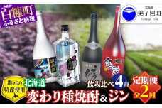 【定期便】焼酎３種 × クラフトジン 飲み比べ 720ml 6本 700ml セット