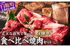 北海道産 牛肉 500g ふるさと納税 焼肉 ふるさと 焼き肉 焼肉 焼肉セット 訳あり 不揃い バラ モモ 小分け 便利 3種 セット 食べ比べ 人気 ランキング おすすめ 家庭用 贈答用 ギフト 白糠牛 北海道 白糠町_L010-1437