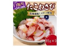たこわさび【85g×9】